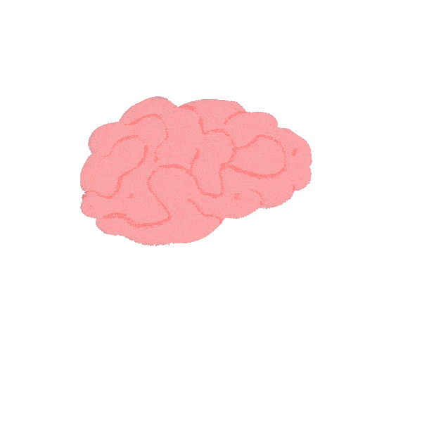 Man sieht ein animiertes Gehirn das ausgewrungen wird.