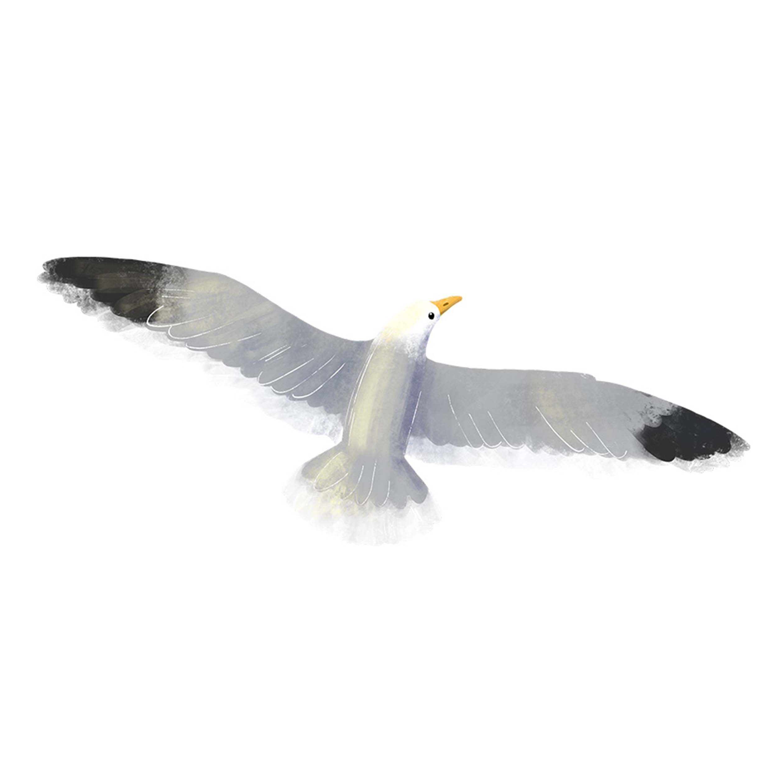 EmdenTourismus_Möwe-Illu