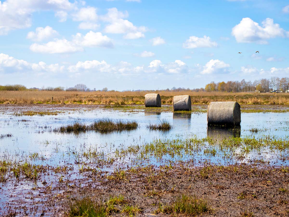 SBL_Landschaft